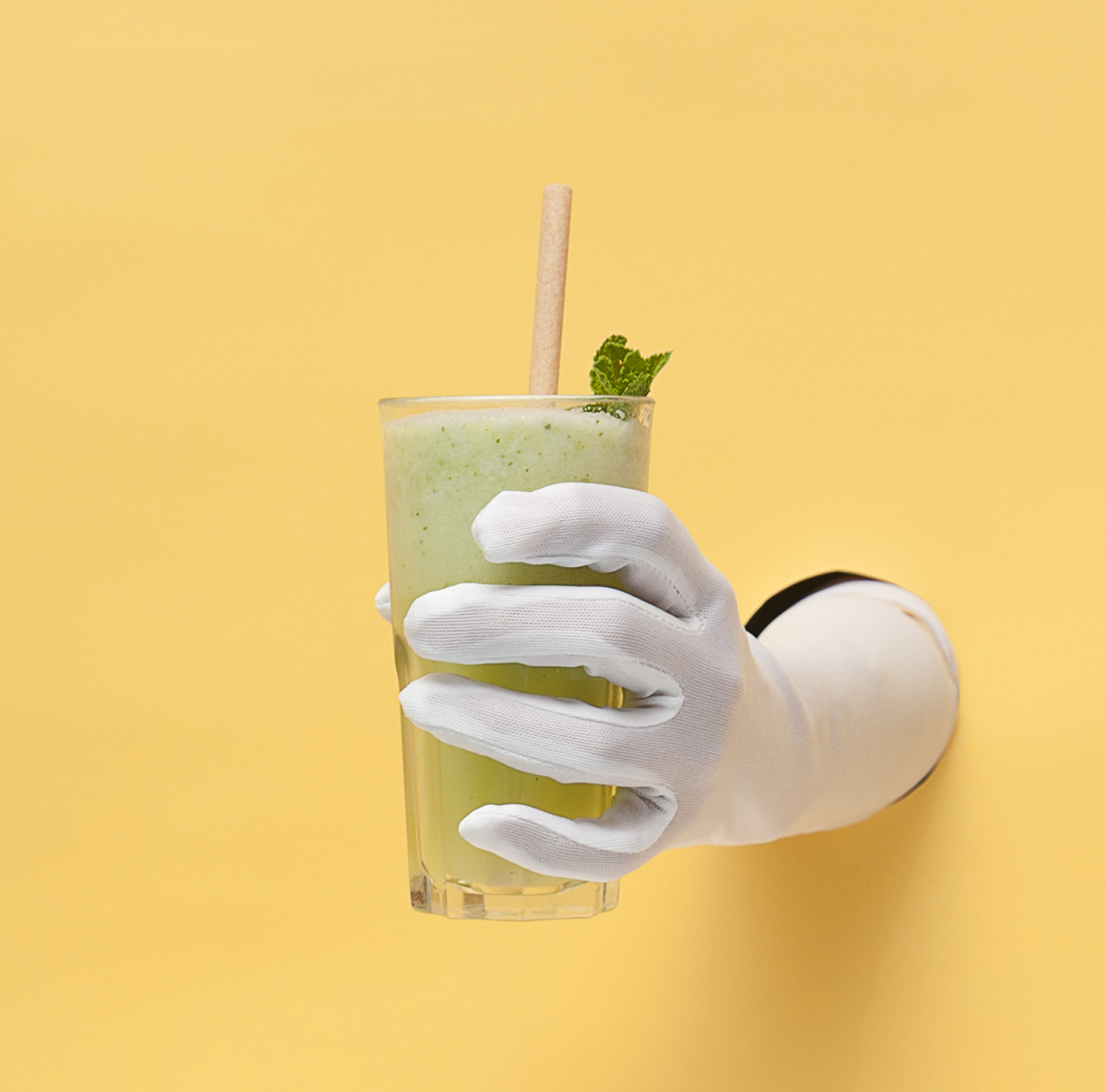 mentha